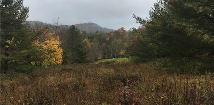 Lot #45, Sec. 1 Tom's Knob Road, Sparta