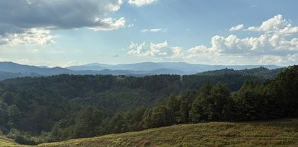 TBD Topia Road, Piney Creek