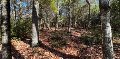 Lot 32 Thoreau Court, West Jefferson