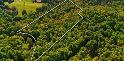 TBD Timber Ridge Road, Sugar Grove
