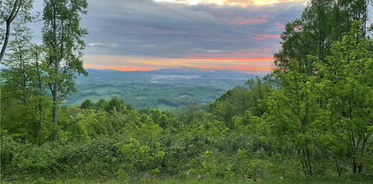 TBD Lots #8 & #9 Olde Stone Ridge, Crumpler