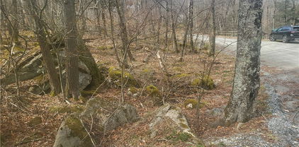 137 Village Cluster Road, Beech Mountain