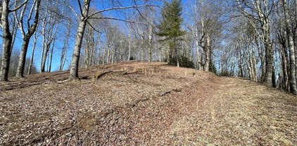 1 Jackson Ridge Road, Boone