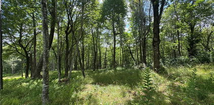 Lot 13 Great Sky Drive, Banner Elk