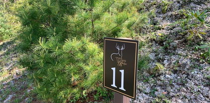 Lot 11 Wapiti Way, Boone