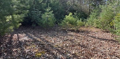 7797 Huskins Drive Unit Tract 4, Newland