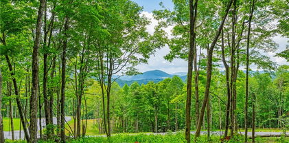 Lot 24 Poplar Forest Drive, Boone