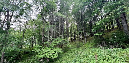 Lot 3 Riverwood Lane, Sugar Grove