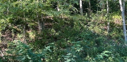 563 Rock Creek Rd Road, Creston