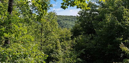 Lot 34E Cascade Run, Purlear