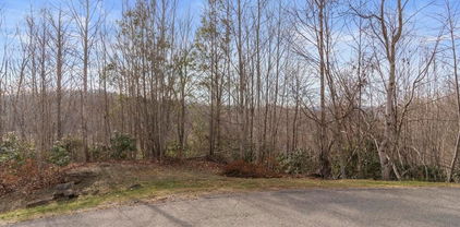 Lot 39 Pine Cove Road, Elk Park