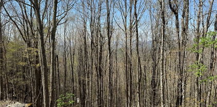 141 and 143 W Blueberry Lane, Beech Mountain
