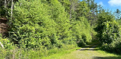 TBD/Lot 11 Fernwood Lane, Piney Creek