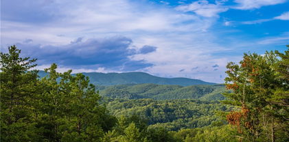 183 Marigold Road, Boone