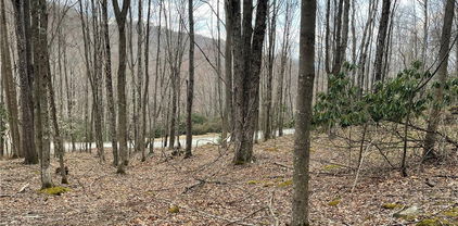 100 Fireweed Lane, Beech Mountain