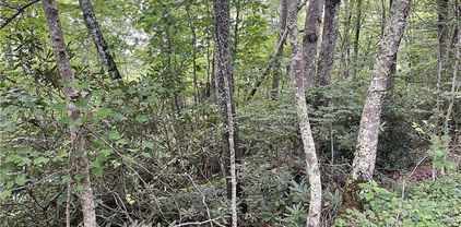 TBD Snow Ridge Road, Banner Elk