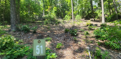 Lot 51 Wilderness Reserve Parkway, Deep Gap