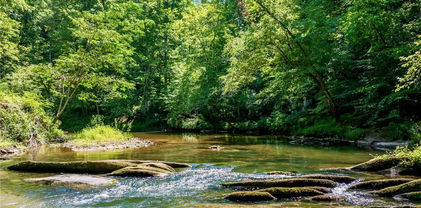 3050 Old Johns River Road, Collettsville