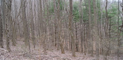 Lot 61 Forest Hill Drive, Sparta