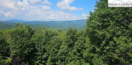 401 Turkey Knob Lane, Elk Park