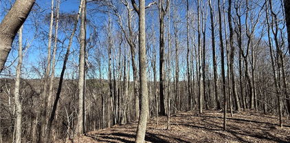 TBD Highlands Trail, Grassy Creek