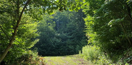 Tract 1 Spring Mountain Trail, Boone