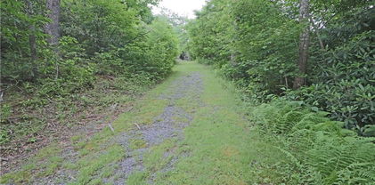TBD Rhodo #69 Lane, Boone