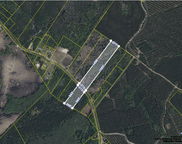 Nash Road, Ridgeville image