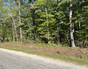 Sniders Highway, Walterboro image