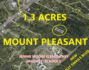 Coakley Rd, Mount Pleasant image
