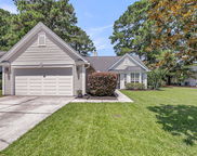 1408 Water Oak Cut, Mount Pleasant image