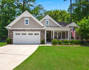 6016 Wild Azalea Road, Summerville image
