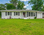 1917 Piper Drive, Charleston image