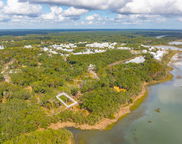 8237 Jack Island Drive, Johns Island image