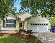 1321 Wild Olive Drive, Mount Pleasant image