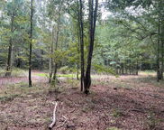Tbd Wild Turkey Road, Cameron image