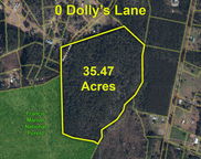 Dollys Lane, Shulerville image