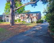 926 Lansing Drive Unit #926-G, Mount Pleasant image