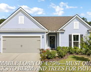 159 Garden Gate Way, Summerville image