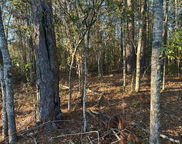 5860 Martin Street, Ravenel image