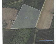 00 Hiotts Pond Road, Walterboro image