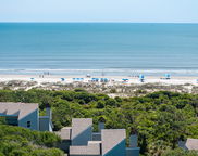 1109 Diodia Court, Kiawah Island image