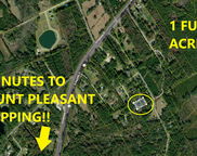 5006 Deborahs Lane, Awendaw image