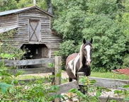 781 Clydeville Lane, Cottageville image