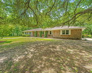 1655 Pinckney Park Drive, Charleston image