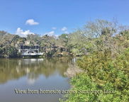713 Sandpiper Ridge Road, Edisto Island image