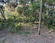 B-10 Oristo Ridge, Edisto Beach image