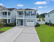 137 Fulmar Place, Charleston image