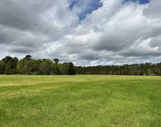2235 Highway 45, Pineville image