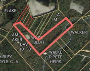 Pandanus Road, Orangeburg image